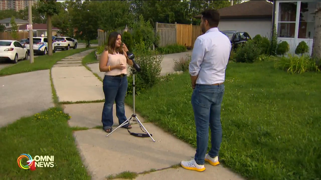 New hope for internationally trained nurses and doctors