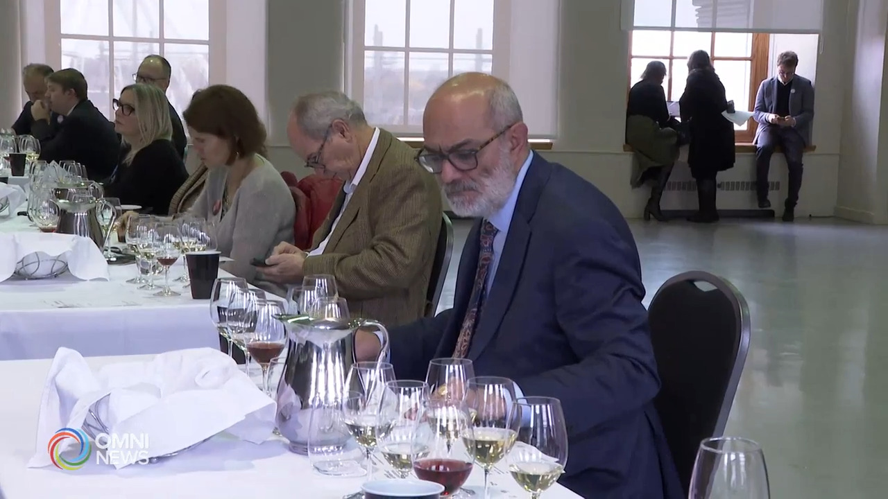 L'Italia vitivinicola 