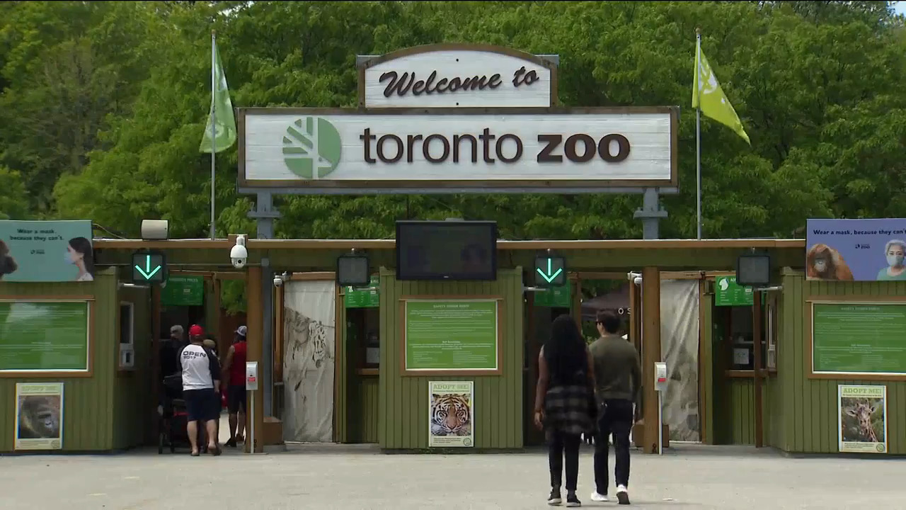 長周末多項活動適合全家參與