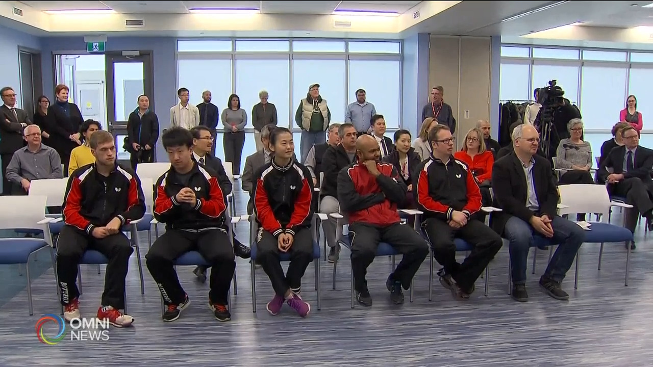 参加奥运会华裔选手分享训练情况