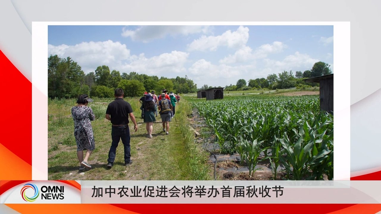 加中农业促进会将举办首届秋收节