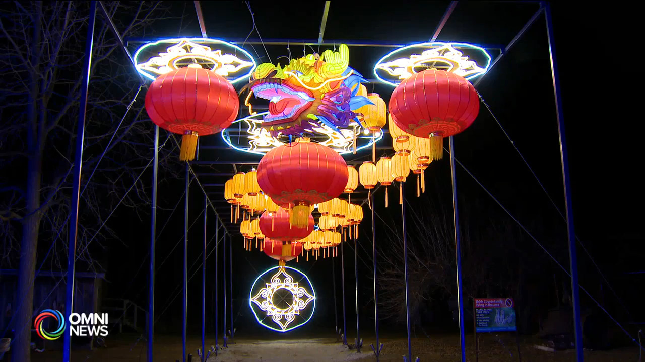 萬錦博物館花燈展迎龍年