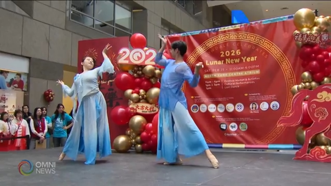 多倫多市議員陳伶俐舉辦馬年市集