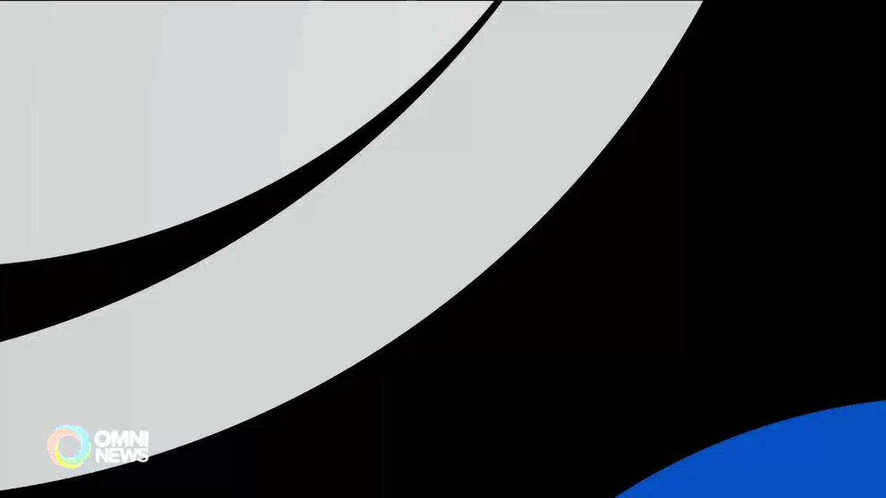 加拿大陕西同乡会首届花卉鉴赏暨烧烤嘉年华