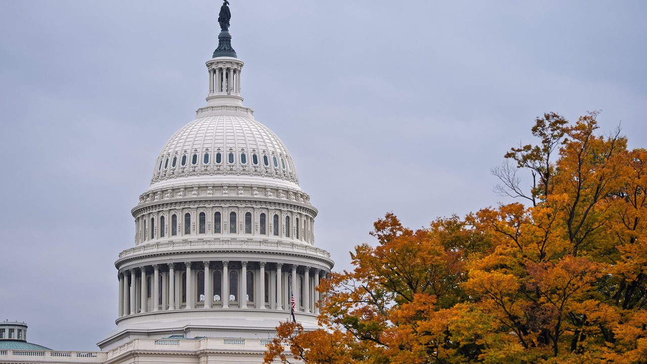 The Bottom Line - Monday, November 3