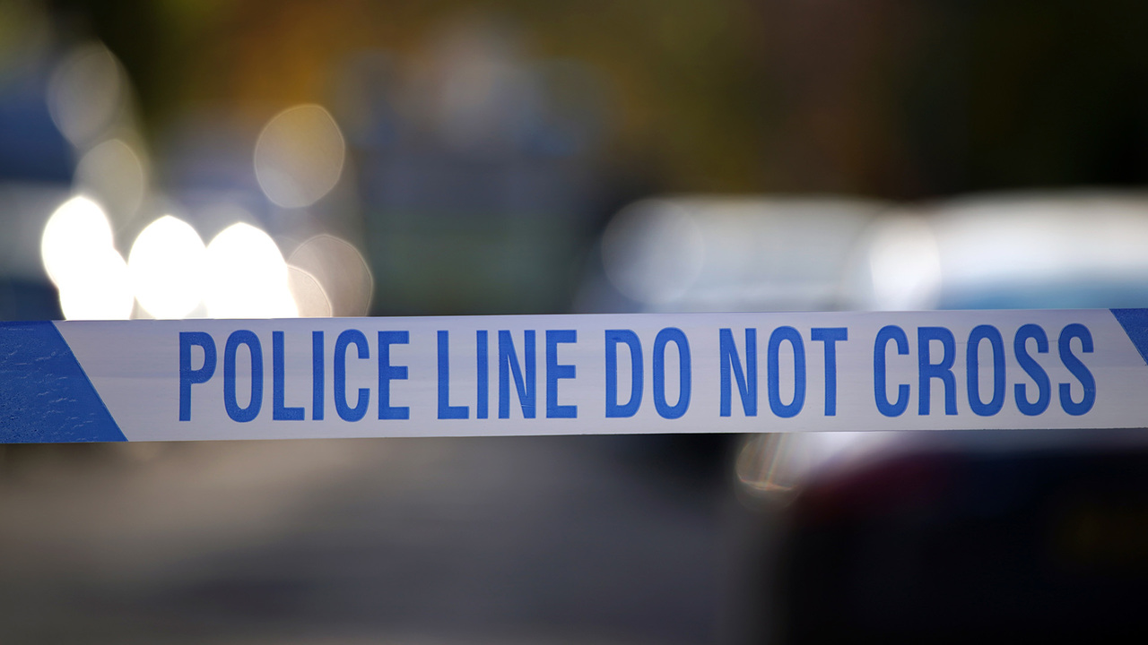 Sunday Night in America with Trey Gowdy - Sunday, January 29